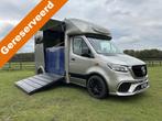 Mercedes-Benz Sprinter 315 AMG 2-paards paardenvrachtwagen B, Gebruikt, Info@hulshof-trading.nl, Overige typen, Hulshof-Trading