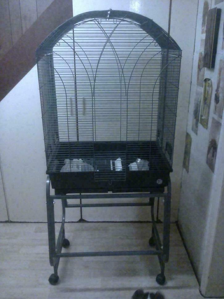 PRIX SACRIFIE Grande cage pratique + accessoires A SAISIR, Animaux & Accessoires, Oiseaux | Cages & Volières, Utilisé, Enlèvement