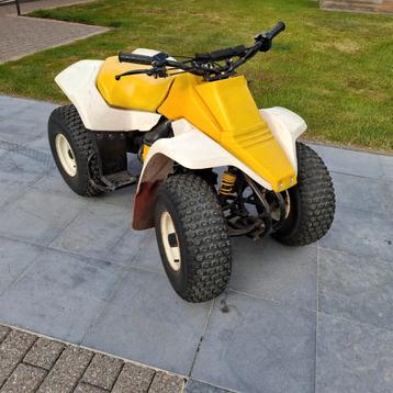 Quad, Motoren, Quads en Trikes