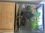 Paludarium, Dieren en Toebehoren, Ophalen, Zo goed als nieuw, Terrarium of Paludarium