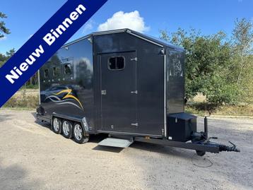 VAN BERNE 3-paards paardentrailer aluminium + sandwichpaneel beschikbaar voor biedingen