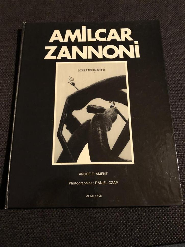 Kunstboek Amilcar Zannoni - Andre Flament, Boeken, Kunst en Cultuur | Beeldend, Gelezen, Beeldhouwkunst, Ophalen of Verzenden