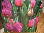 Schilderij Tulpen op dikke doek, canvas, Ophalen