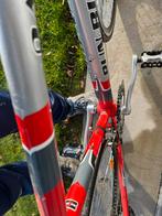 Racefiets Padma Campagnolo, 10 tot 15 versnellingen, Heren, Aluminium, Zo goed als nieuw