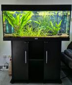 Aquarium Juwel Rio 180, Animaux & Accessoires, Comme neuf