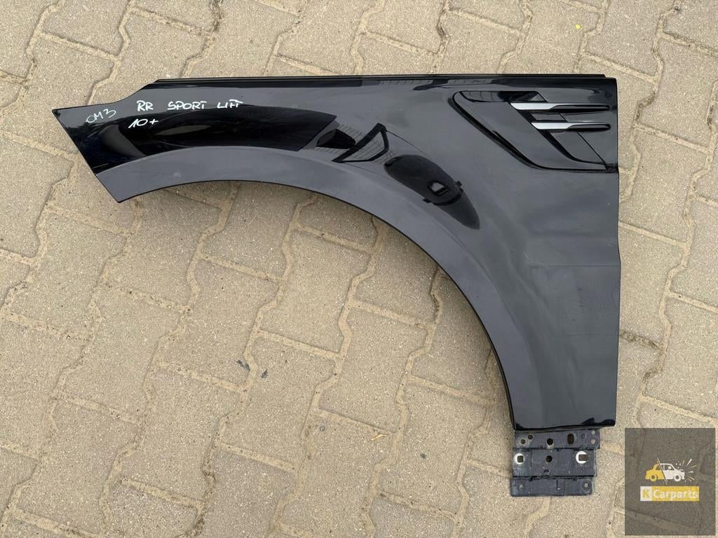 Range Rover Sport Lift L494 linkervoorvleugel, Fabrikant BV, Utilisé, Info@fabrikant.eu, Fabrikantstraat 1
1000 AA  Amsterdam, NL