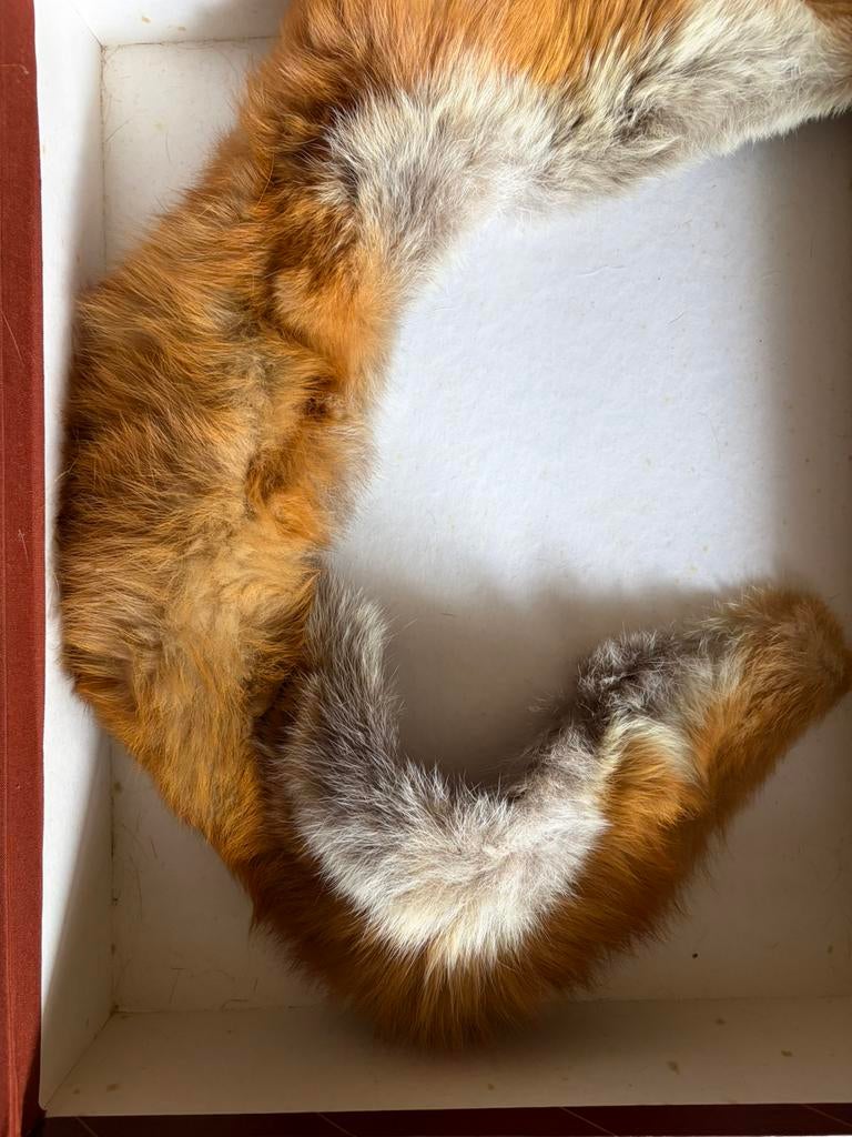 Nertsbont, Antiquités & Art, Antiquités | Vêtements et Textile, Enlèvement, Femmes