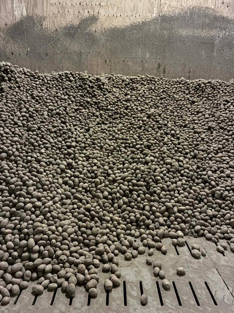 Voederaardappelen Artemis