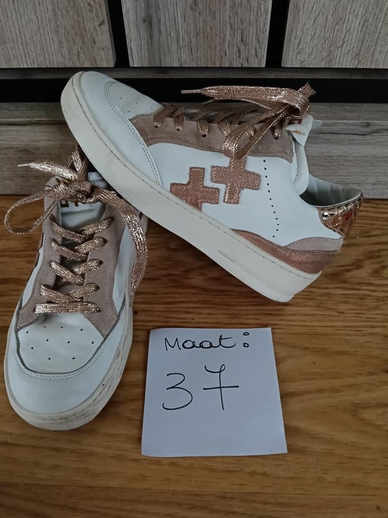 Gio schoenen dames, Enlèvement