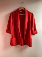 Blazer Terra di Siena, Ophalen of Verzenden, Jasje, Maat 36 (S), Gedragen