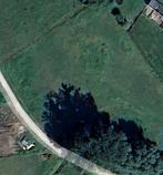 prairie, Animaux & Accessoires, Pâturage