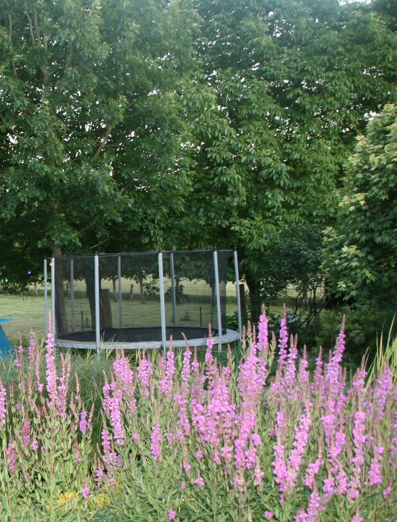 Trampoline DOMYOS Essential 420, Ophalen, Gebruikt