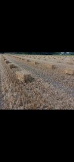 Kleine balen stro, Ophalen