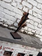 Écureuil, Collections, Enlèvement, Comme neuf