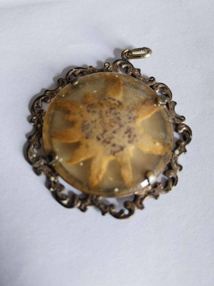 HANGER UIT 1920 MET GEDROOGDE EDELWEISS-BLOEM, Handtassen en Accessoires, Antieke sieraden, Hanger, Zilver, Ophalen of Verzenden