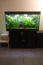 Aquarium 120x60x40cm met toebehoren, Ophalen, Gebruikt