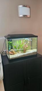 Aquarium 70 liter, Dieren en Toebehoren, Ophalen