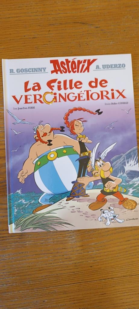 BD * Astérix, de dochter van Vercingetorix, Boeken, Eén stripboek, Ophalen of Verzenden, Zo goed als nieuw, Goscinny & Uderzo