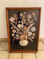 coquilles dans un cadre, Collections, Minéraux & Fossiles, Enlèvement, Coquillage(s)