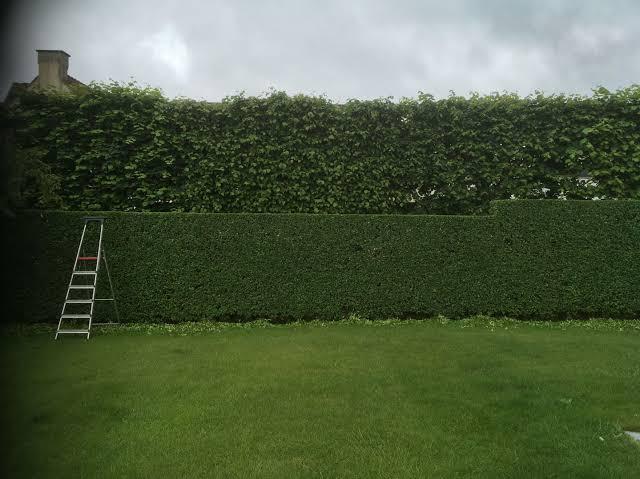 Tuinen Albert – Tuinaanleg & Tuinonderhoud, Tuin en Terras, Tuinhuizen, Ophalen