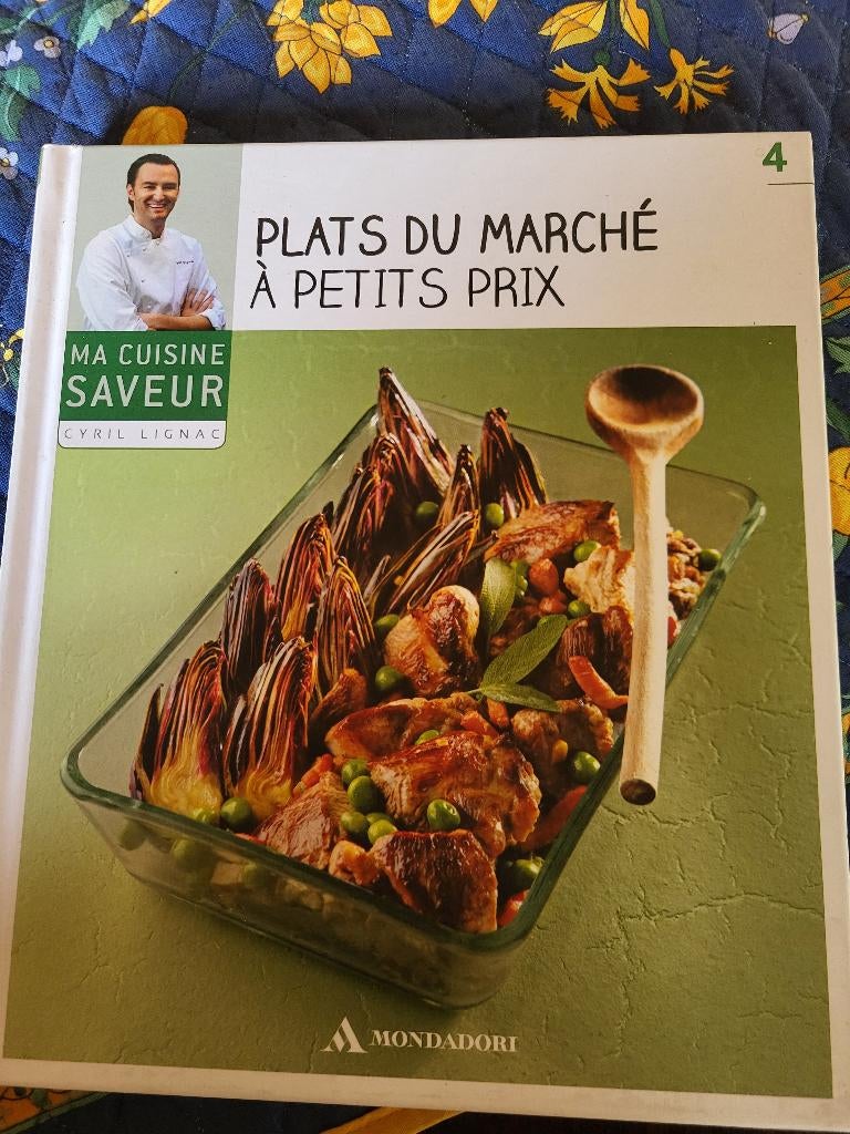 Livre de recettes, Livres, Livres de cuisine, Neuf, Plat principal, Enlèvement, Autre