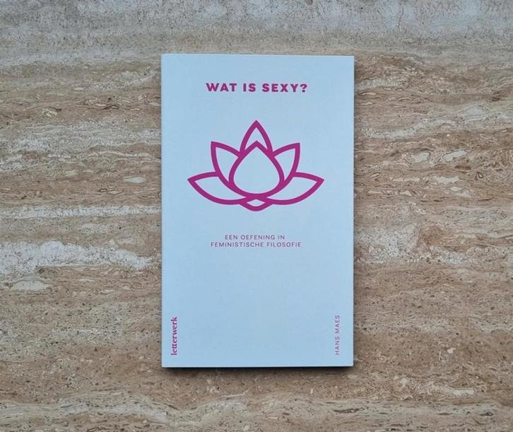 Wat is sexy? Oefening in feministische filosofie, Hans Maes, Livres, Philosophie, Neuf, Envoi