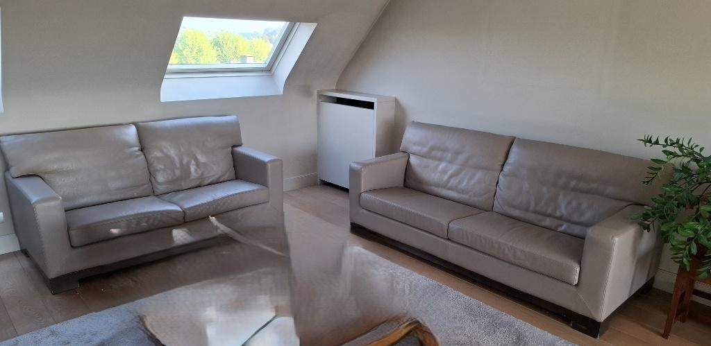 Canapé en cuir,  salon en cuir 2 pièces, Maison & Meubles, Enlèvement, Utilisé, Cuir