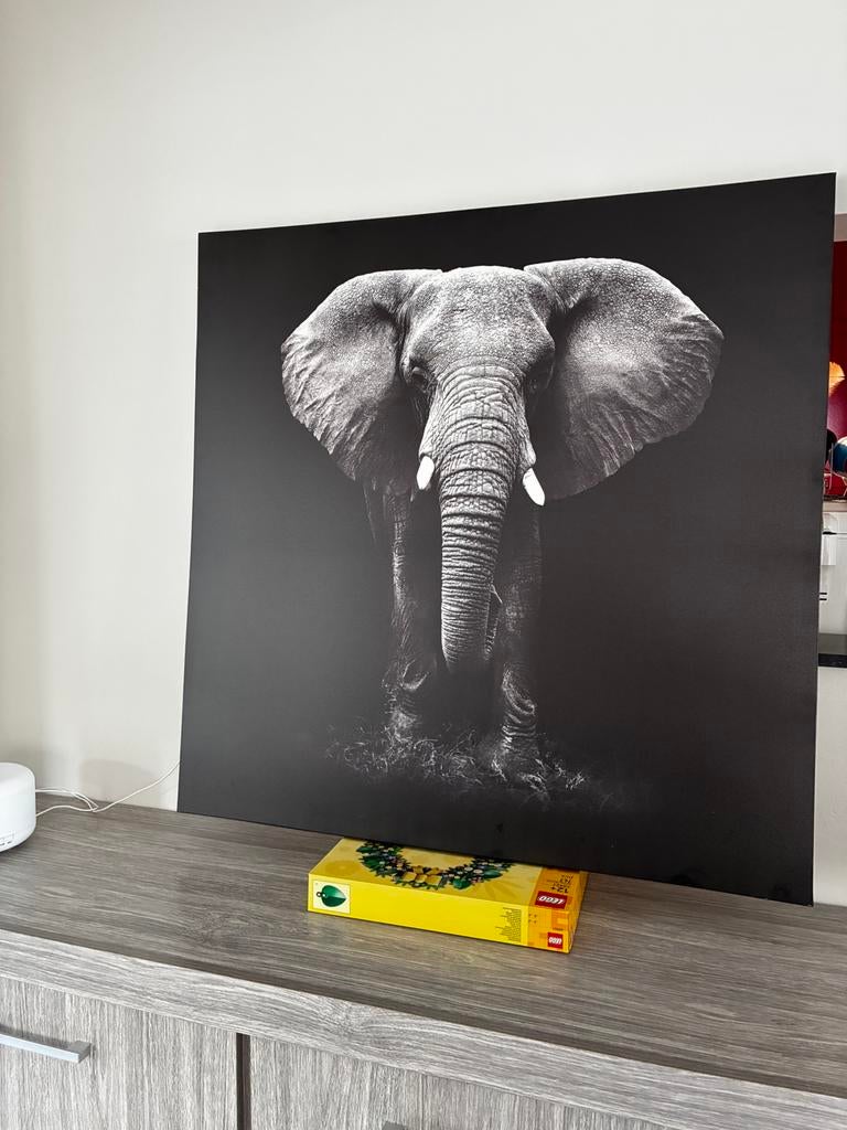 Foto op doek, Ophalen, Gebruikt