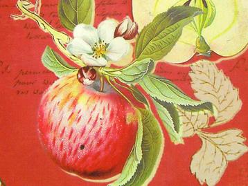 Ronde opdienschotel  "Apple Blossom" beschikbaar voor biedingen