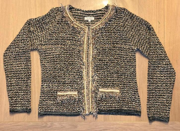 Vestje maat L, Kleding | Dames, Overige Dameskleding, Zo goed als nieuw, Ophalen of Verzenden