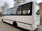 Iveco - 65C - Touringcar - 2003, Auto's, Vrachtwagens, Iveco, Diesel, Te koop