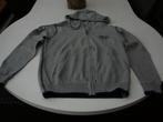 Mooie trui met kap River Woods M, Kleding | Heren, Truien en Vesten, Maat 48/50 (M), Ophalen of Verzenden, Gedragen, River woods