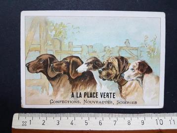 Chromo A la place Verte Anvers Antwerpen Hond Honden beschikbaar voor biedingen