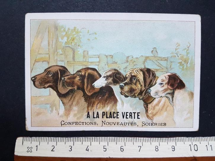 Chromo A la place Verte Anvers Antwerpen Hond Honden, Verzamelen, Foto's en Prenten, Zo goed als nieuw, Prent, Dier, Voor 1940