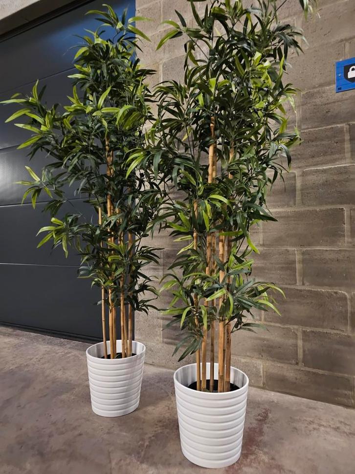 2 Grandes plantes artificielles (bambous), Huis en Inrichting, Woonaccessoires | Kunstplanten en Kunstbloemen, Zo goed als nieuw