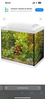 Aquarium 50L superfish, Dieren en Toebehoren, Ophalen, Zo goed als nieuw