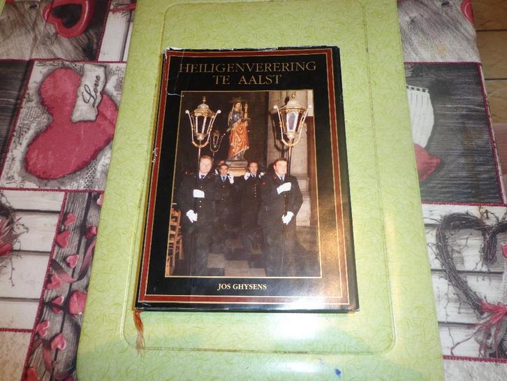 Heiligenverering te Aalst, Boeken, Geschiedenis | Stad en Regio, Gelezen, Ophalen of Verzenden