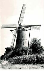 Vinderhoute - Van Vlaenderensmolen, Verzamelen, Postkaarten | België, Verzenden, 1980 tot heden, Ongelopen, Oost-Vlaanderen