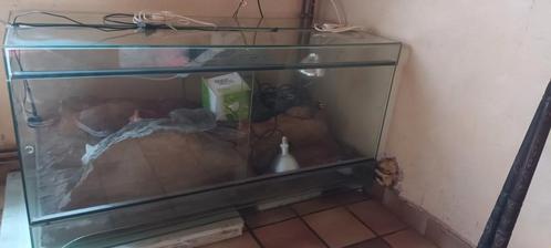 Vivarium, Dieren en Toebehoren, Reptielen en Amfibieën | Toebehoren
