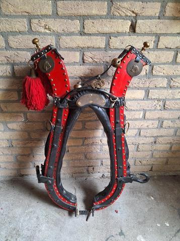 Paardenhoofdstel  beschikbaar voor biedingen
