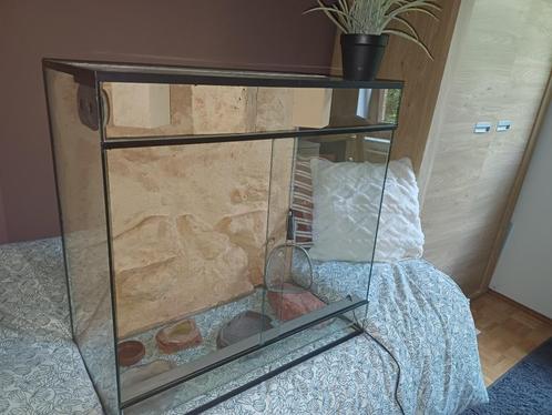 Groot terrarium met woestijn achtergrond, Dieren en Toebehoren, Overige Dieren-accessoires, Gebruikt, Ophalen