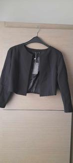 nieuwe korte blazer, Vêtements | Femmes, Vestes & Costumes, Taille 38/40 (M), Enlèvement ou Envoi, Manteau, Noir