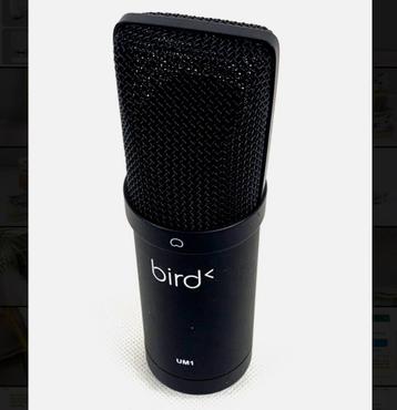 Bird UM1 studio microfoon PC en Mac USB stream podcast enz beschikbaar voor biedingen