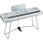 Cherche KORG PA 588, Ophalen, 88 toetsen, Korg, Aanslaggevoelig