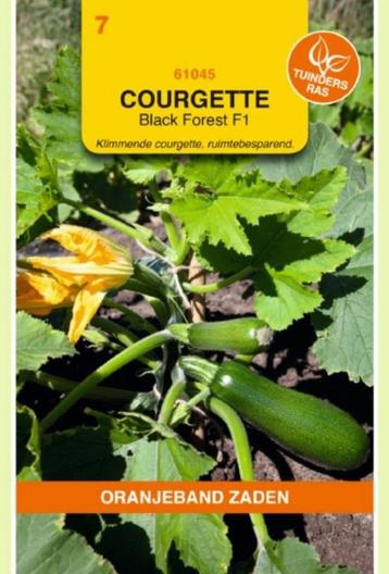 planten klimcourgette Black Forest F1 courgetteplanten, Ophalen, Groenteplanten, Eenjarig, Halfschaduw