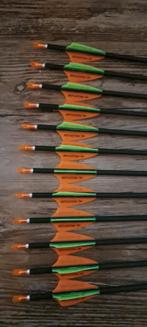 Fleches carbone, Sports & Fitness, Enlèvement ou Envoi