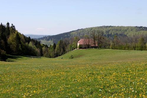 Au bout du monde !, Vacances, Maisons de vacances | France, Vosges ou Jura, Ferme ou Cottage, Village, Montagnes ou collines, 3 chambres à coucher