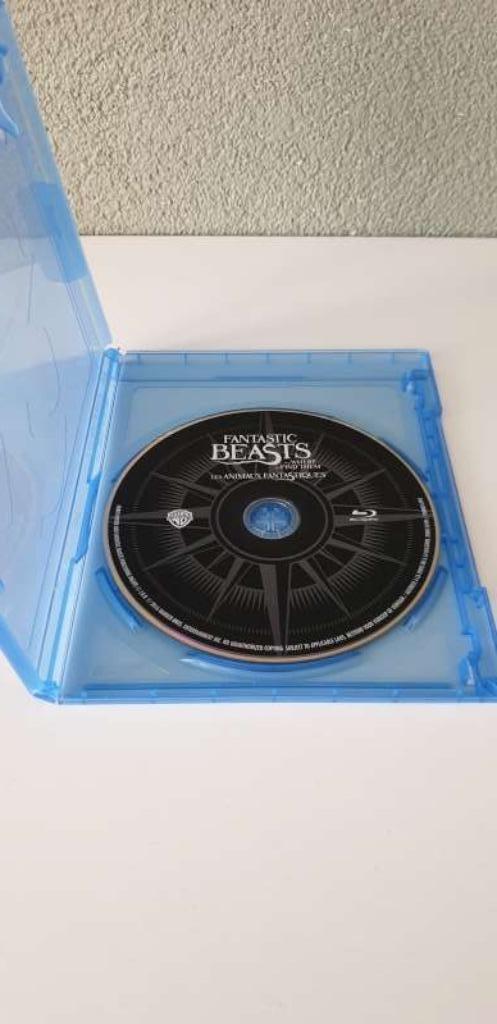 Fantastic Beasts And Where To Find Them, Cd's en Dvd's, Blu-ray, Zo goed als nieuw, Science Fiction en Fantasy, Ophalen of Verzenden
