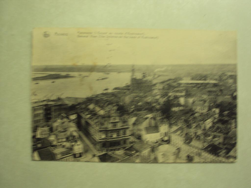 53600 - ANVERS - PANORAMA DE L'ESCAUT AU COUDE D'AUSTRUWEEL, Envoi