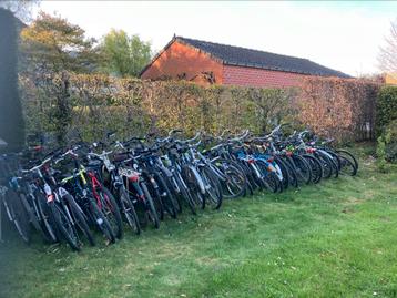 Oude fietsen gezocht beschikbaar voor biedingen